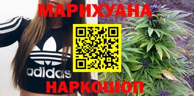 сатива Моздок