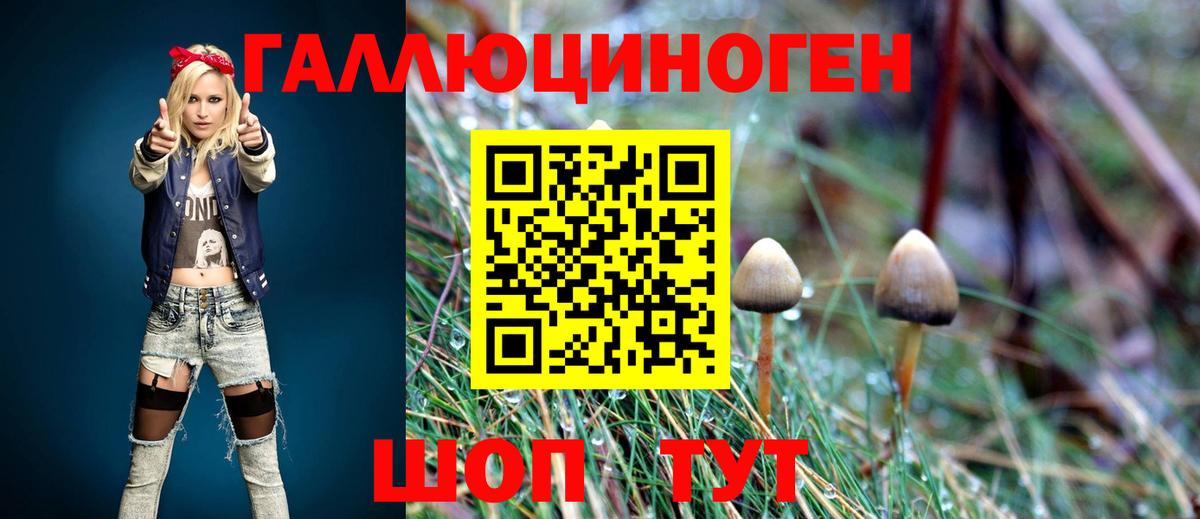 Фурманов  Галлюциногенные грибы Psilocybine cubensis  Вход с VPN 