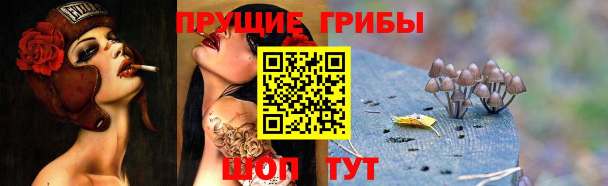 Псилоцибиновые грибы прущие грибы Фурманов